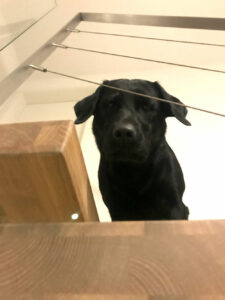 Kirner_Schwebetreppe_2021_10