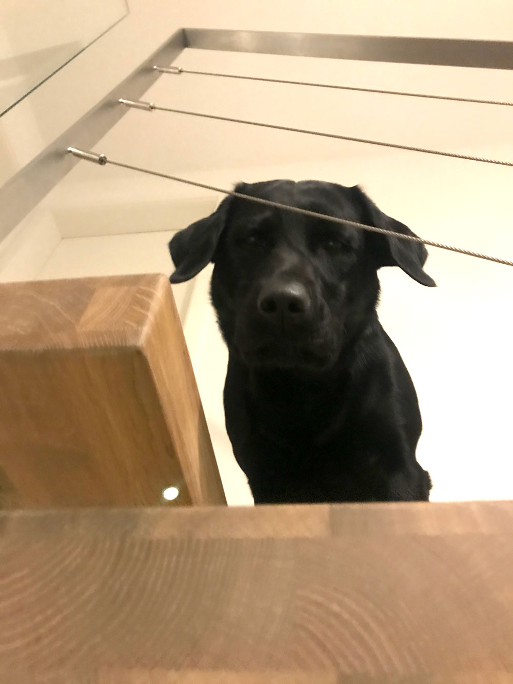 Kirner_Schwebetreppe_2021_10